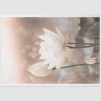 Weißer Lotus, Rose Pink, Pampas Grass, schmiedeeis