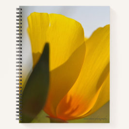 Weißer Mohn Notizbuch