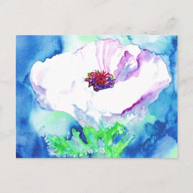 Weißer Mohn. Postkarte (Vorderseite)