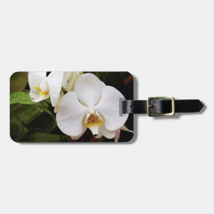 Weißer Mondorchid (Phalaenopsis Aphrodite) Gepäckanhänger