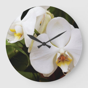 Weißer Mondorchid (Phalaenopsis Aphrodite) Große Wanduhr