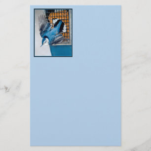 Weißer Nacktfisch im Schnee - Original Foto Briefpapier