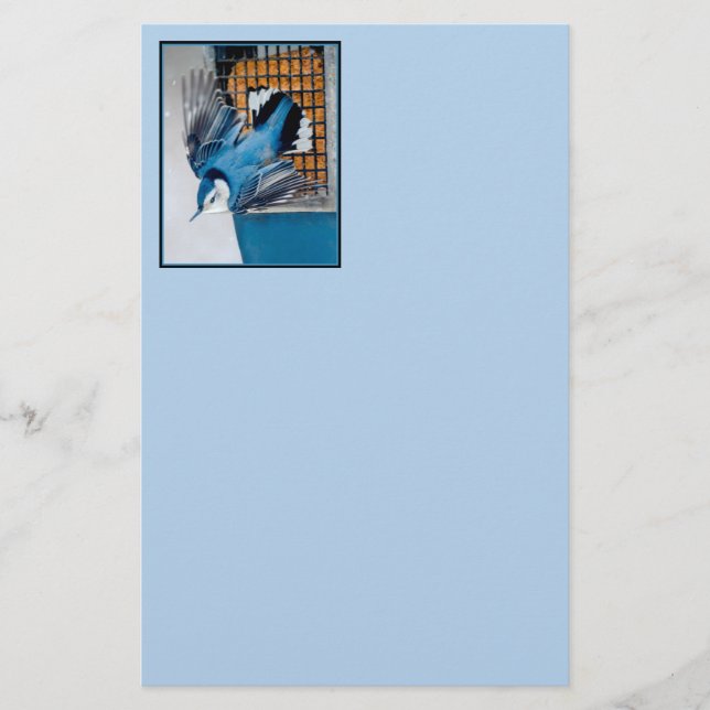 Weißer Nacktfisch im Schnee - Original Foto Briefpapier (Vorderseite)