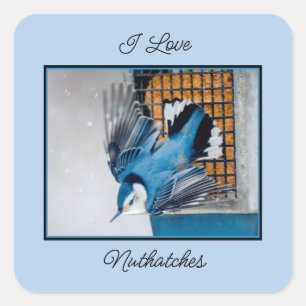 Weißer Nacktfisch im Schnee - Original Foto Quadratischer Aufkleber