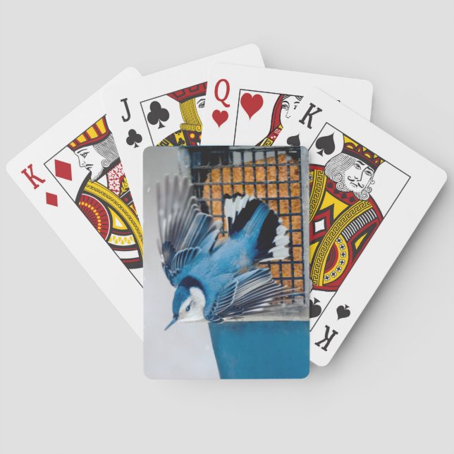 Weißer Nacktfisch im Schnee - Original Foto Spielkarten (Rückseite)