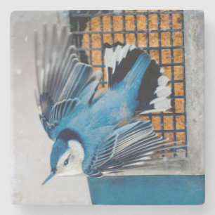 Weißer Nacktfisch im Schnee - Original Foto Steinuntersetzer