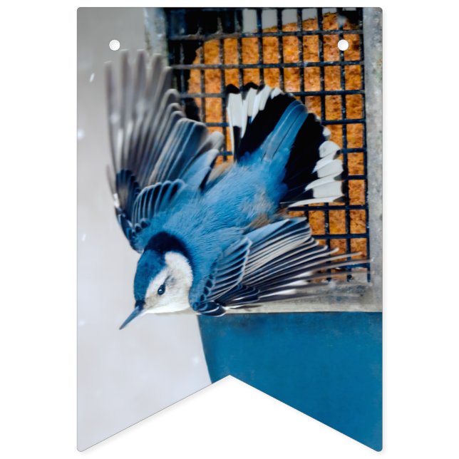 Weißer Nacktfisch im Schnee - Original Foto Wimpelkette (Erste Fahne)