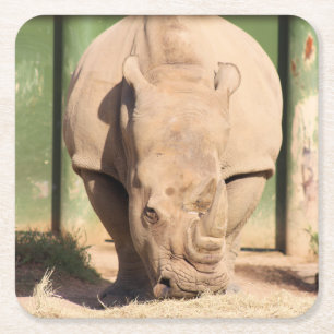 Weißer Nashorn Rechteckiger Pappuntersetzer
