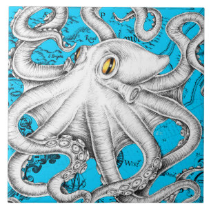 Weißer Oktopus Vintage Karte Blau Fliese
