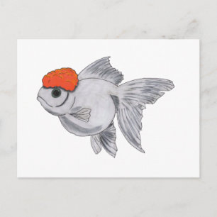 Weißer Orange Oranda Goldfish Aquarium Pet Fisch Postkarte