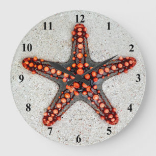 Weißer Orangen Rosenstein Große Wanduhr