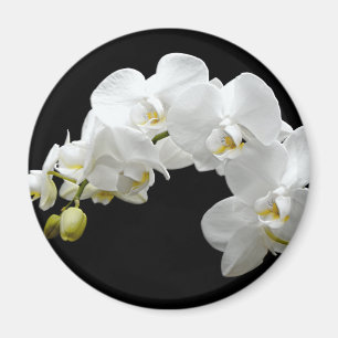 Weißer Orchid Blossom Magnet