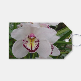 Weißer Orchid II Elegant Geschenkanhänger