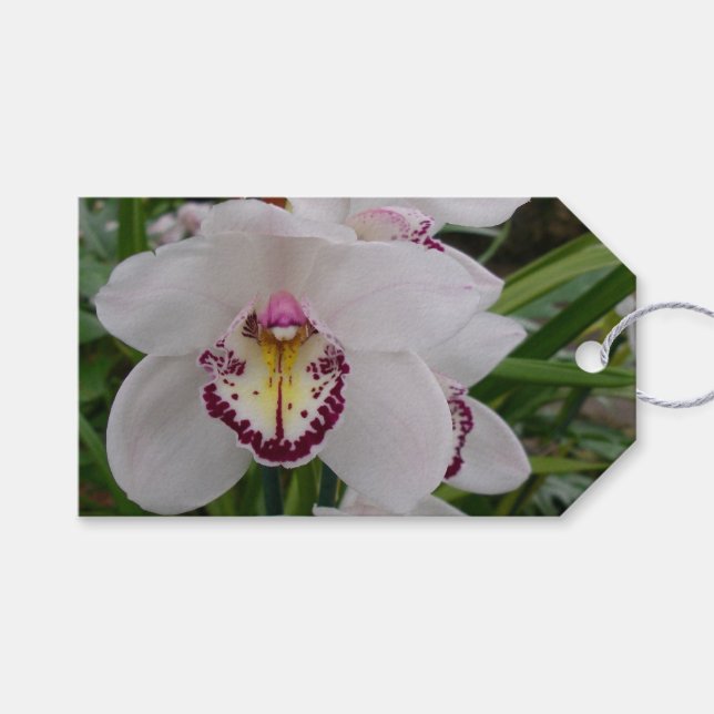 Weißer Orchid II Elegant Geschenkanhänger (Vorderseite (Horizontal))