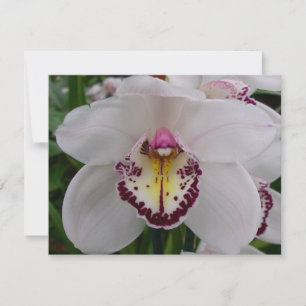 Weißer Orchid II Elegant Mitteilungskarte