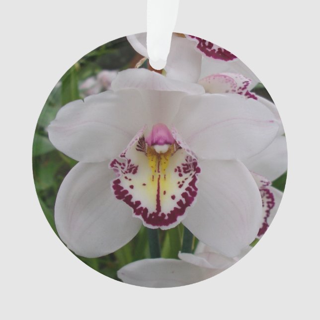 Weißer Orchid II Elegant Ornament (Vorderseite)