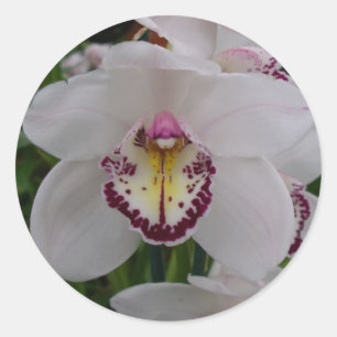 Weißer Orchid II Elegant Runder Aufkleber