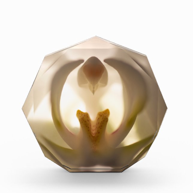 Weißer Orchid-Print-Foto Fotoblock (Vorderseite)