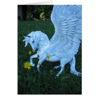 Weißer Pegasus