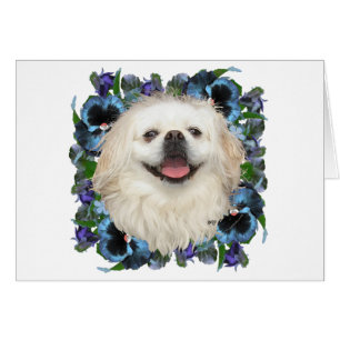 Weißer Pekinese mit Stiefmütterchen