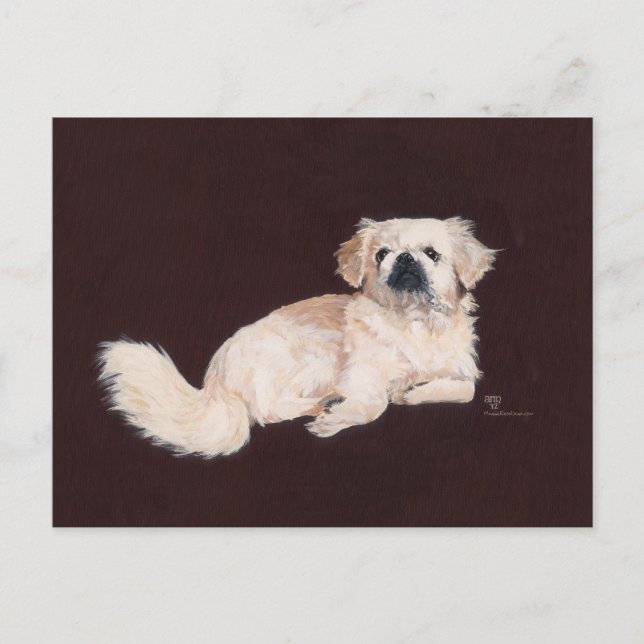 Weißer Pekingese Hund Postkarte (Vorderseite)