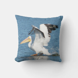 Weißer Pelikan auf großartigem Kissen