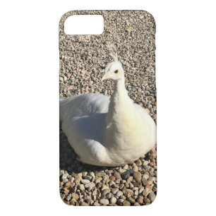 Weißer Pfau, Idaho Case-Mate iPhone Hülle