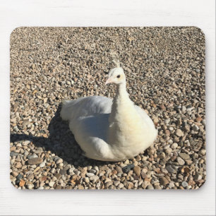 Weißer Pfau, Idaho Mousepad