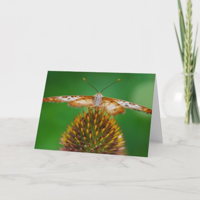 Weißer Pfau Karte (Vorderseite)