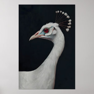 Weißer Pfau Kunst Druck, Tierporträt Vogel Poster
