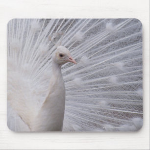 Weißer Pfau Mousepad