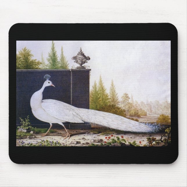 Weißer Pfau Mousepad (Vorne)
