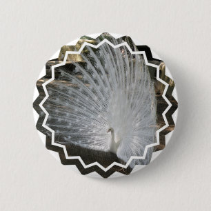 Weißer Pfau-runder Knopf Button