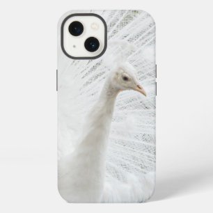 Weißer Pfau schöne Federn iPhone 13 Hülle