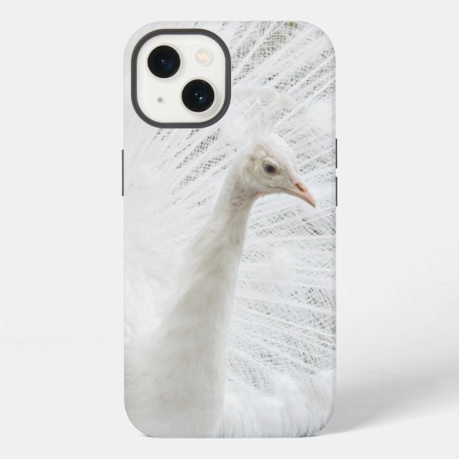 Weißer Pfau schöne Federn  iPhone Hülle (Rückseite)