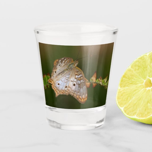 weißer Pfauenfalter auf Blättern Schnapsglas (Vorderseite)