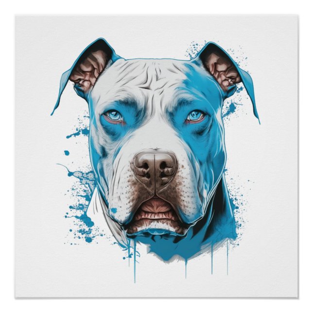 Weißer Pitbull mit blauen Augen Poster (Vorderseite)