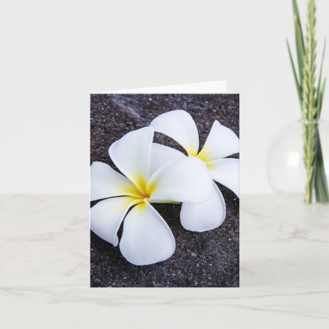 Weißer Plumeria-Blumefrangipani-Blumenlava-Felsen Karte (Vorderseite)