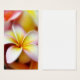 Weißer Plumeriafrangipani-Hawaii-Blumen-Hawaiianer (Vorne & Hinten)