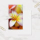 Weißer Plumeriafrangipani-Hawaii-Blumen-Hawaiianer (Büro)