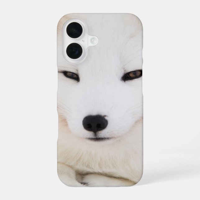 Weißer Polarfuchs iPhone 16 Hülle (Rückseite)