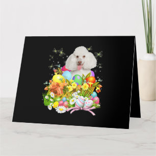 Weißer Poodle Bunny Dog Ostereier Basket Coo Karte