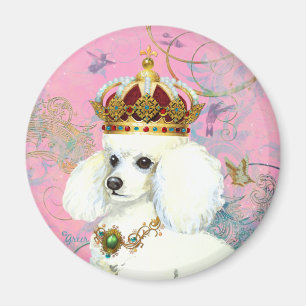 Weißer Poodle-Prinzessin mit Hummingbirds Magnet
