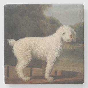 Weißer Pudel in einem Punt (von George Stubbs) Steinuntersetzer