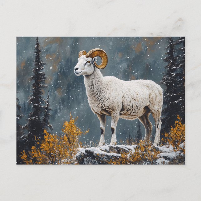 Weißer Ram Stehend auf dem Snowy Mountain Postkarte (Vorderseite)