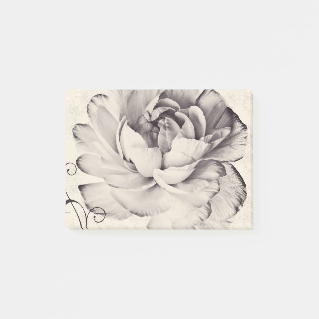 Weißer Ranunculus-Blume Schwarzer Hintergrund Post-it Klebezettel (Vorderseite)