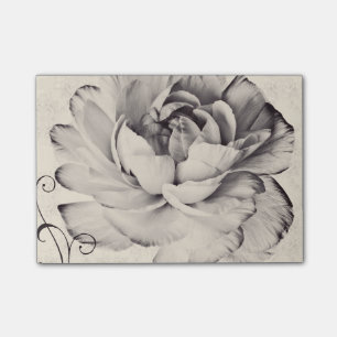 Weißer Ranunculus-Blume Schwarzer Hintergrund Post-it Klebezettel