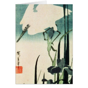 Weißer Reiher und Iris