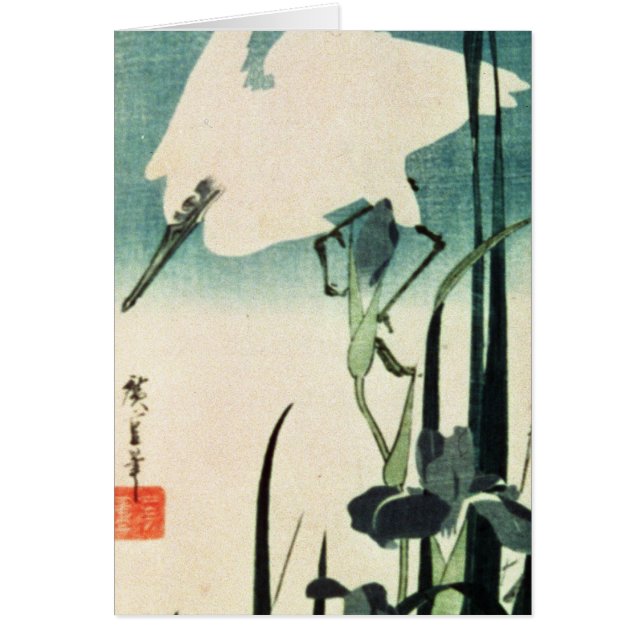 Weißer Reiher und Iris (Vorne)