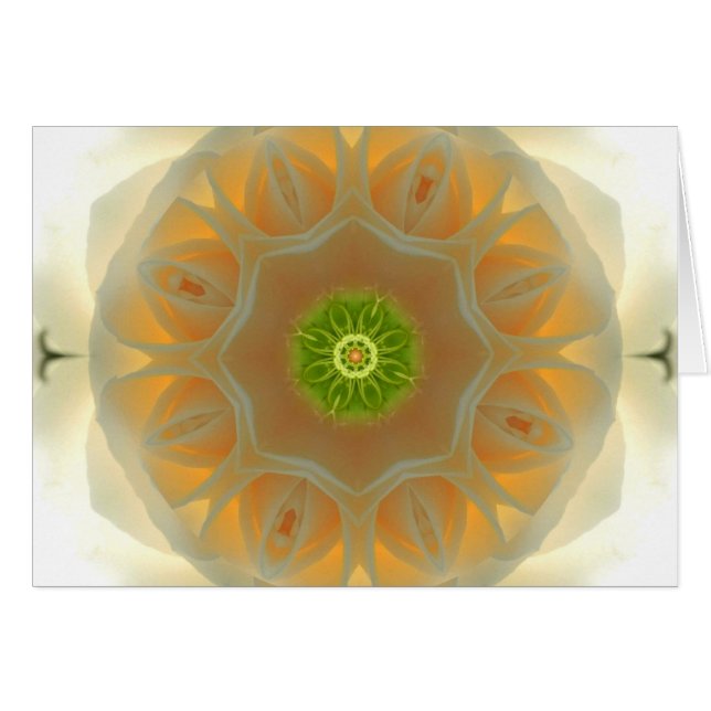 Weißer RoseMandala (Vorderseite (Horizontal))